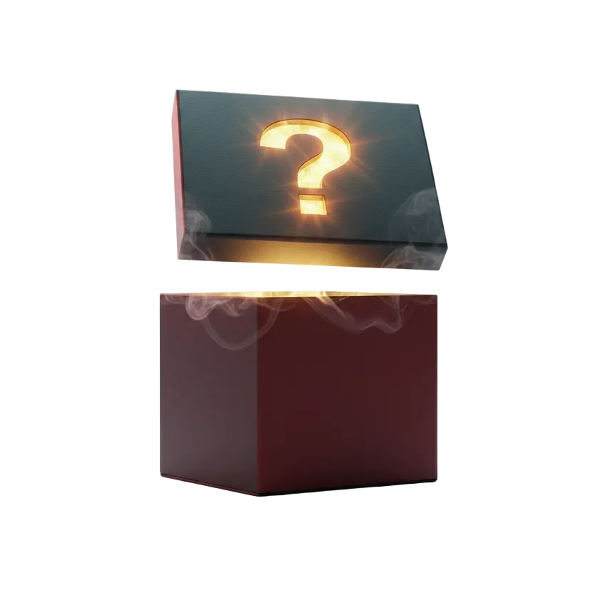 MYSTERY BOX ADD-ON | Surprise Boost